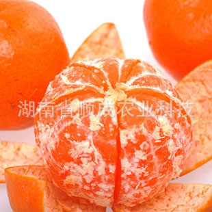 w.默科特 红茂谷柑